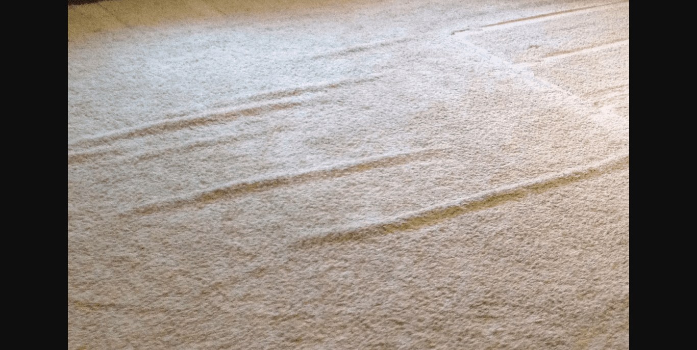 carpet wrinkle repair Brisbane